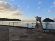 匿名希望の画像