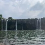 はる