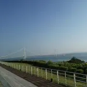 ふじの画像