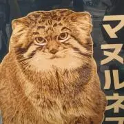 たくやの画像
