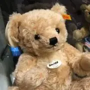 A STORE☆の画像