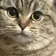 ちゃこ