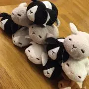 黒鳥子