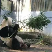 ちるちるの画像