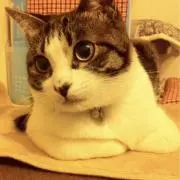 Image of タケさん