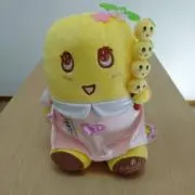セギの画像