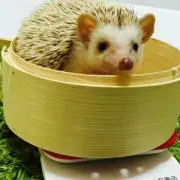 みぃ