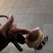 トラくん