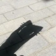 revelhearterの画像