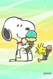 ❤断捨離頑張ります❤の画像