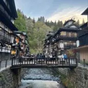 ゆの画像