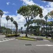 roseroの画像