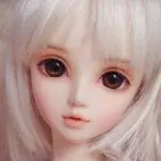 ごんちゃんの画像