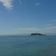 Yの画像