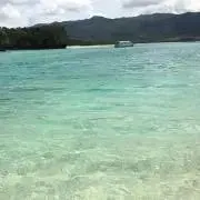 トムの画像