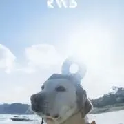 ゆ