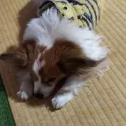 hirokの画像