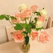 うな※プロフ確認をお願いしますの画像