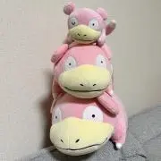 みぃの画像