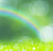 stars_smile8の画像