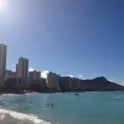 ALOHA(プロフ必要)の画像