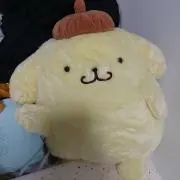CHIの画像
