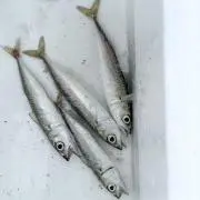 アントラーズの画像