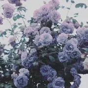 くらげの画像