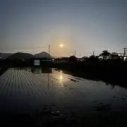 小鍛冶伊代太の画像