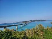 ふわ　まとめ買い大歓迎♪の画像