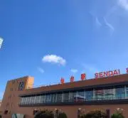 ぷりんの画像