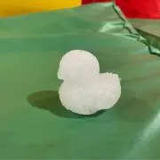 フランスパンの画像