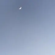 おこめの画像