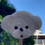 大豆の画像