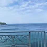 fucciの画像