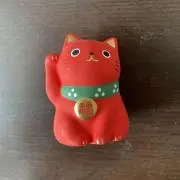 プロフ必見願います　チノの画像