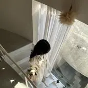 Miの画像