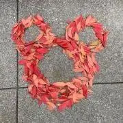 CHAの画像
