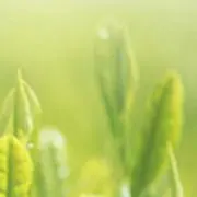 ♡