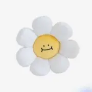 kaesaruの画像