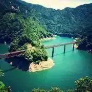 だわだわ⭐️即日発送⭐️の画像