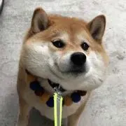 harulondonの画像