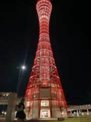 しっぽの画像