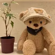 いっちゃん。の画像