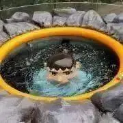ひらたんの画像