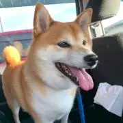 うららか