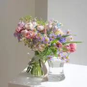 ぽてちの画像