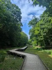 K-FMの画像