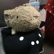 とんさま