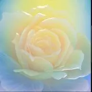 Kanonの画像